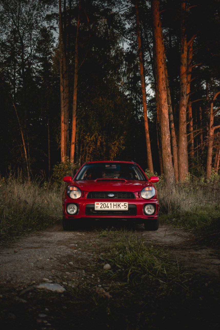 subaru wrx